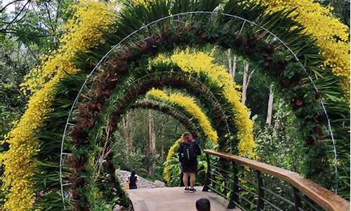 仙湖植物园门票_仙湖植物园门票价格