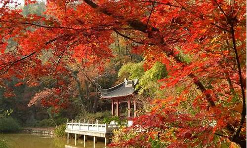 南京栖霞山门票价格_南京栖霞山门票价格60岁