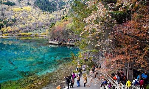 九寨沟当地导游_九寨沟当地导游服务口碑