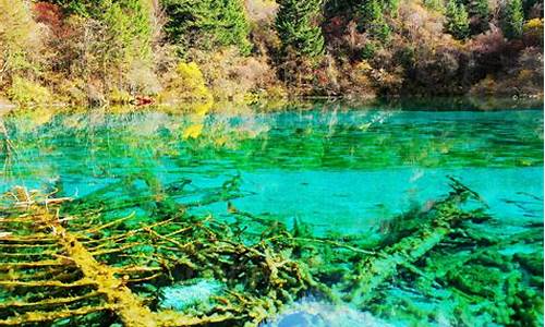 九寨沟啥时候去最好_九寨沟啥时候去最好玩