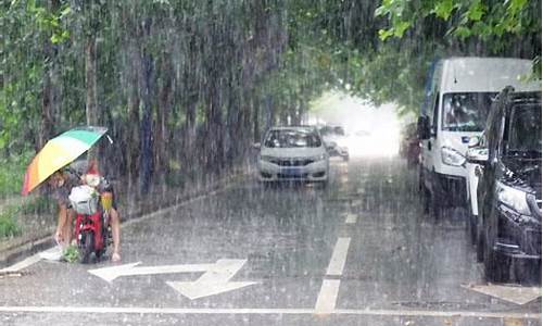 山东青岛大暴雨_山东青岛大暴雨最新消息