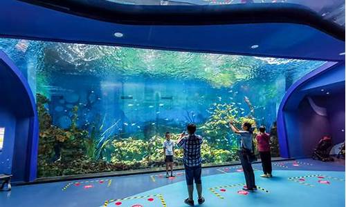 上海海洋水族馆和海昌海洋公园哪个好玩_上海海洋水族馆和海昌海洋公园哪个好玩吗